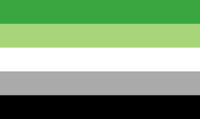 Aromantic Omnisexual