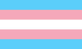Trans Trans